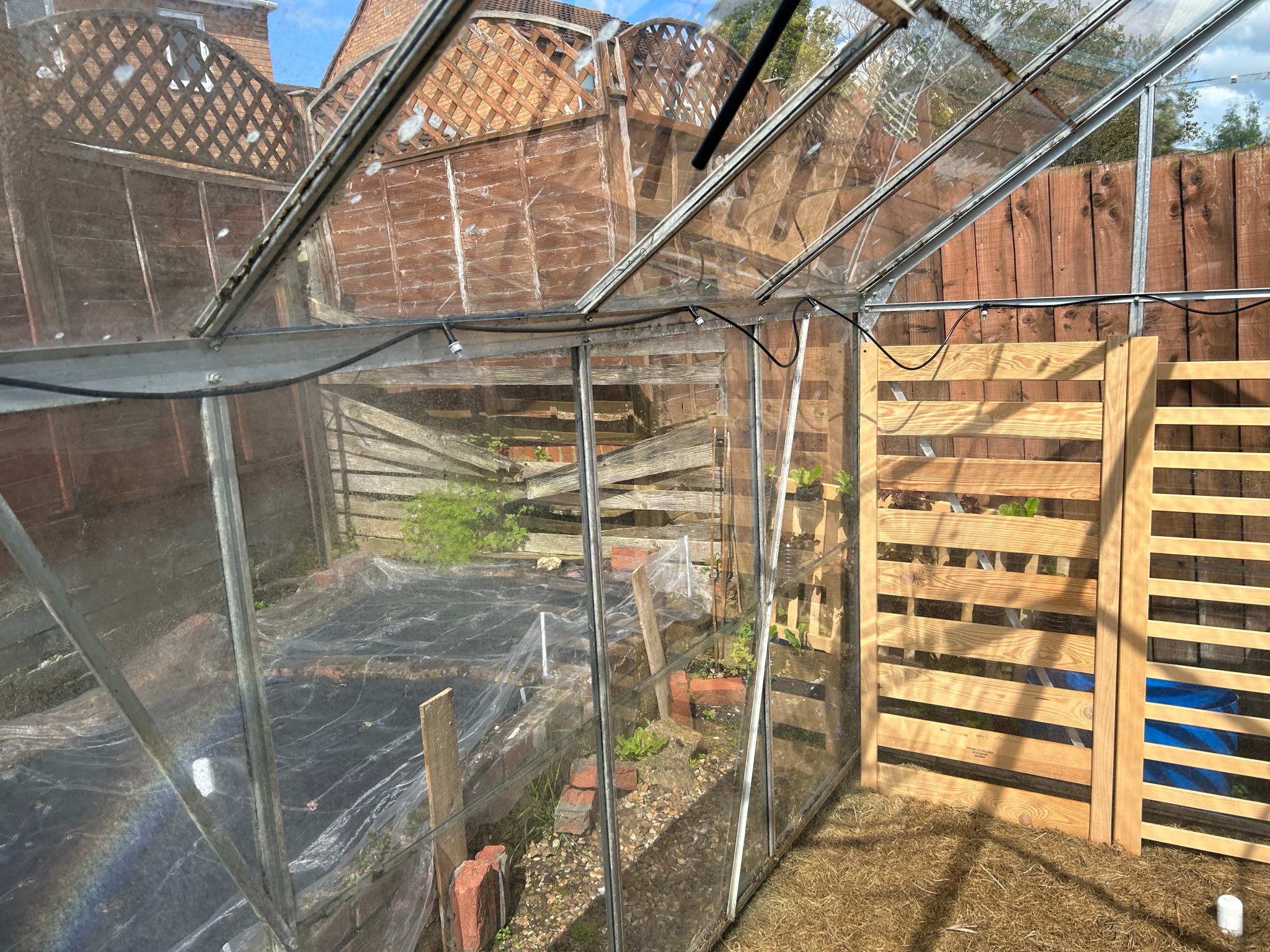 How I Built my DIY Misting System for my Greenhouse – Gardening, Tech ...